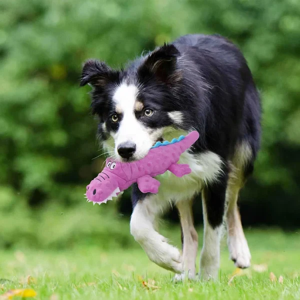 UNBREAKABLE CHEW TOY-DESIGNED FOR HEAVY CHEWERS